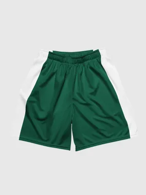 Stranger Things Hawkins High School Basketball Shorts